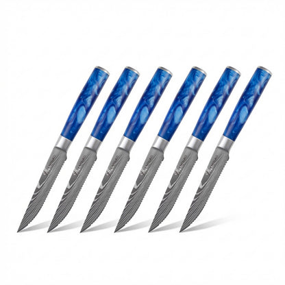 Pack Passion Tanaka Bleu Océan